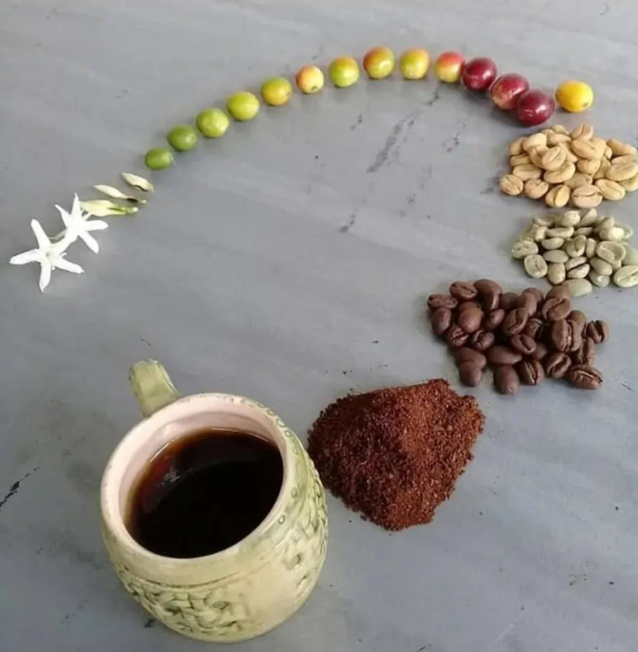 Прикол: Путь от цветка до чашки кофе