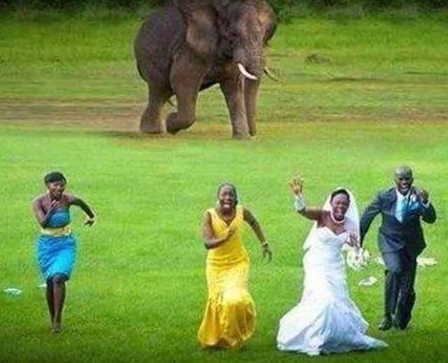 Прикол: Свадьба - она и в Африке свадьба