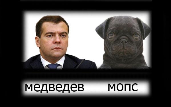 Прикол: Медведев & мопс