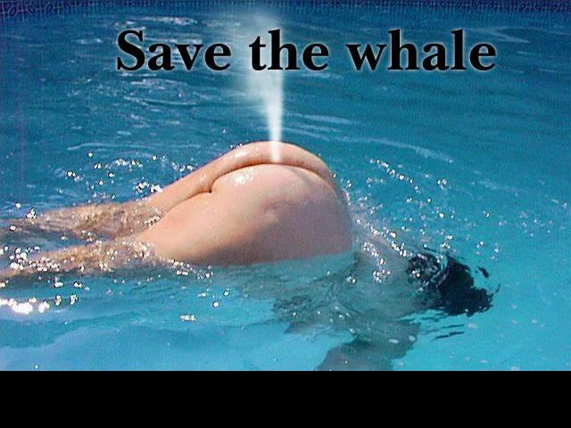 Прикол: Сохраним китов!
