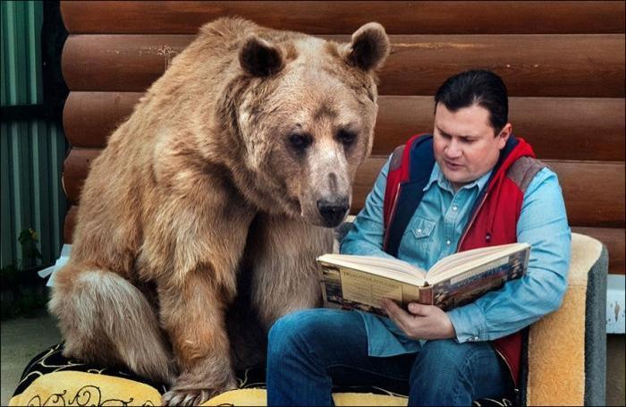 Прикол: Когда купил медведя и читаешь инструкцию